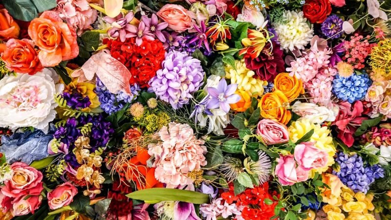 Expressing Love with Colors: The Meaning of Different Flower Hues